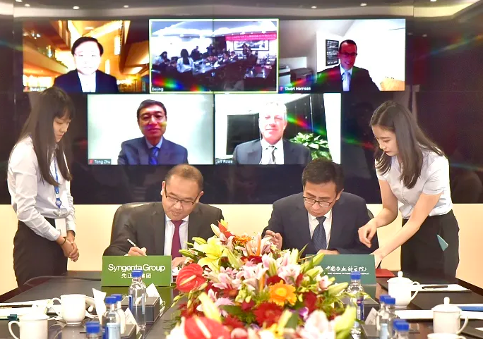 OEŷ��|�ٷ���վ