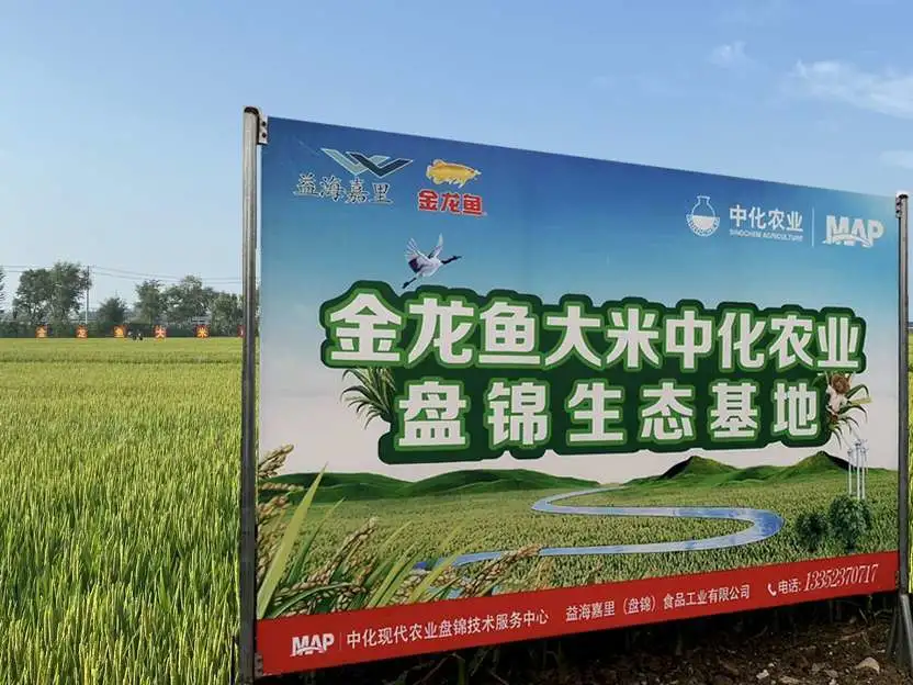 OEŷ��|�ٷ���վ