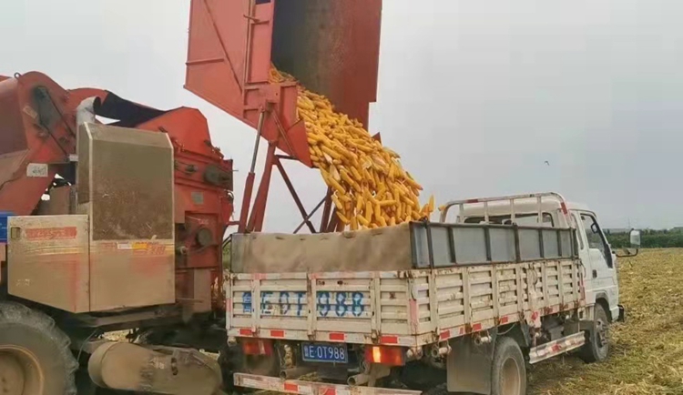 OEŷ��|�ٷ���վ