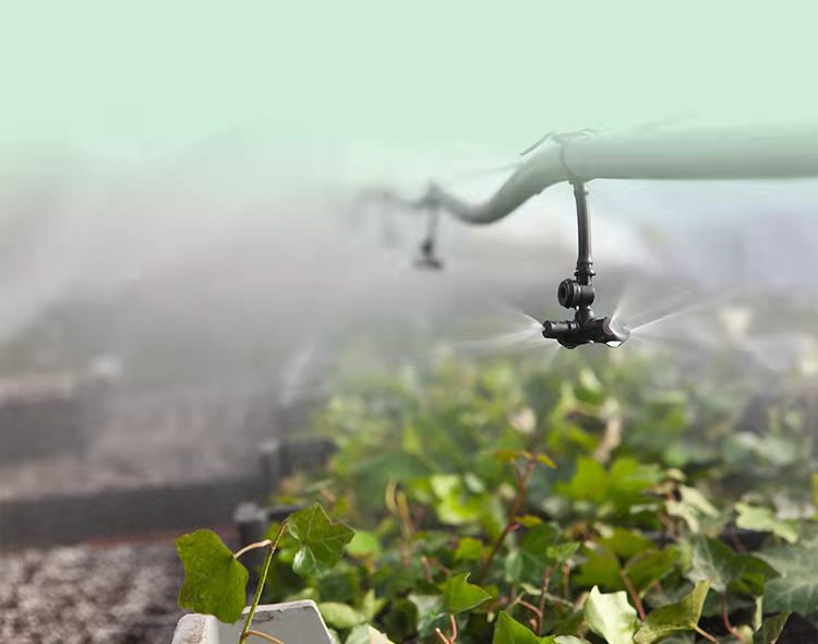 OEŷ��|�ٷ���վ