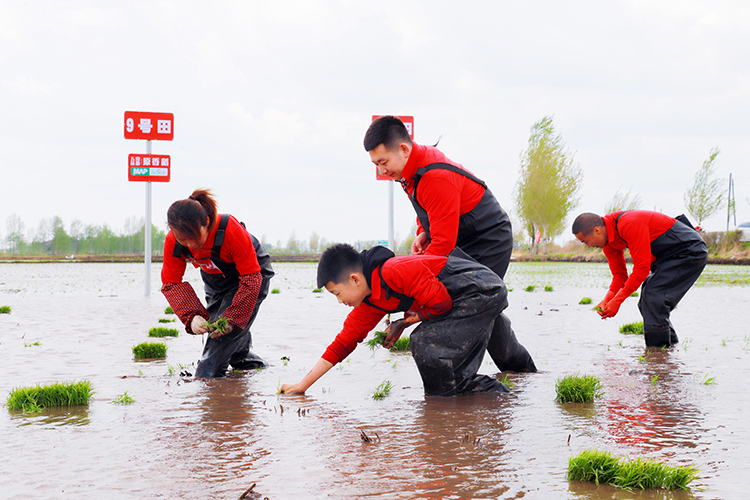 OEŷ��|�ٷ���վ