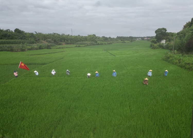 OEŷ��|�ٷ���վ