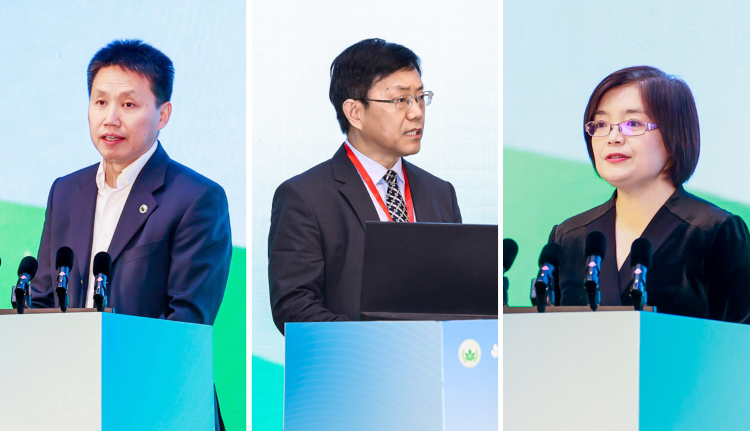 OEŷ��|�ٷ���վ