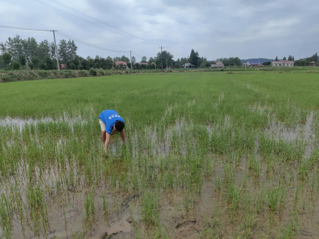 OEŷ��|�ٷ���վ