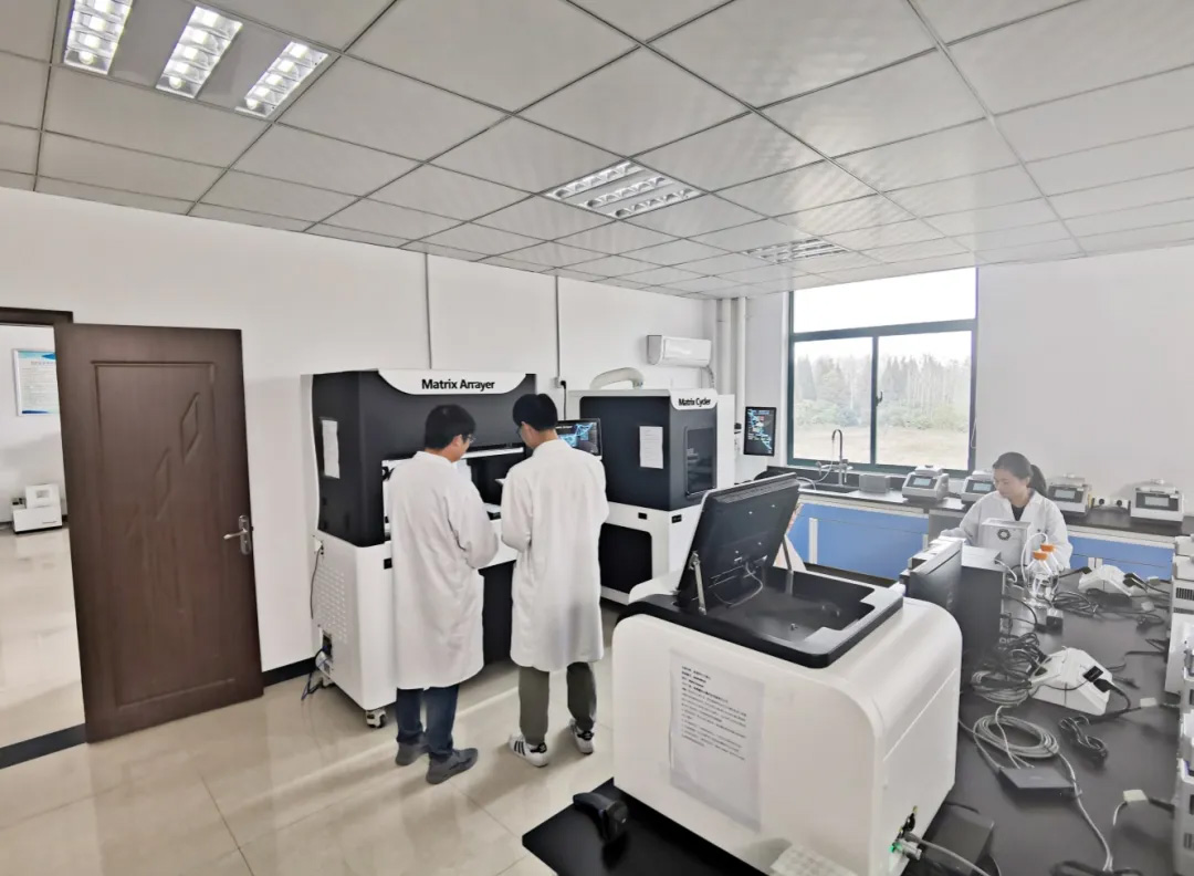 OEŷ��|�ٷ���վ