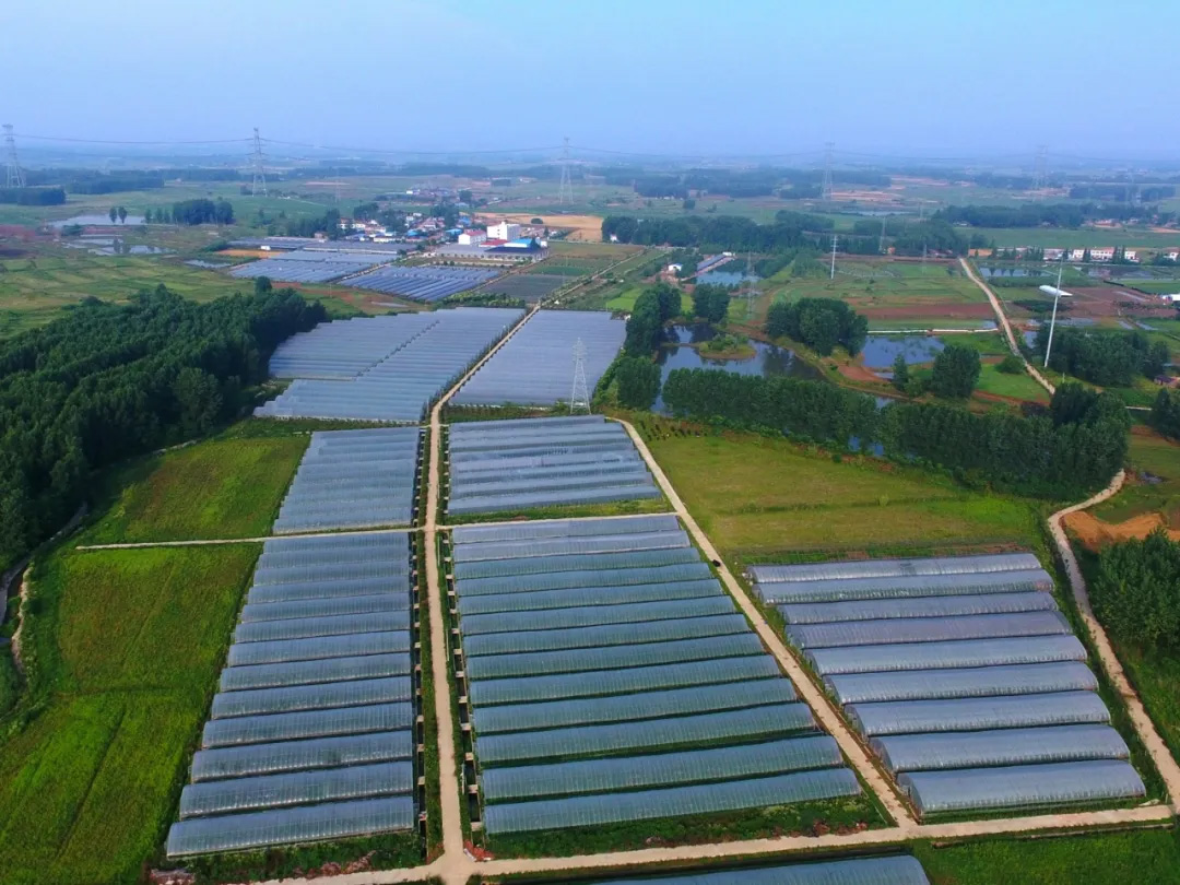 OEŷ��|�ٷ���վ