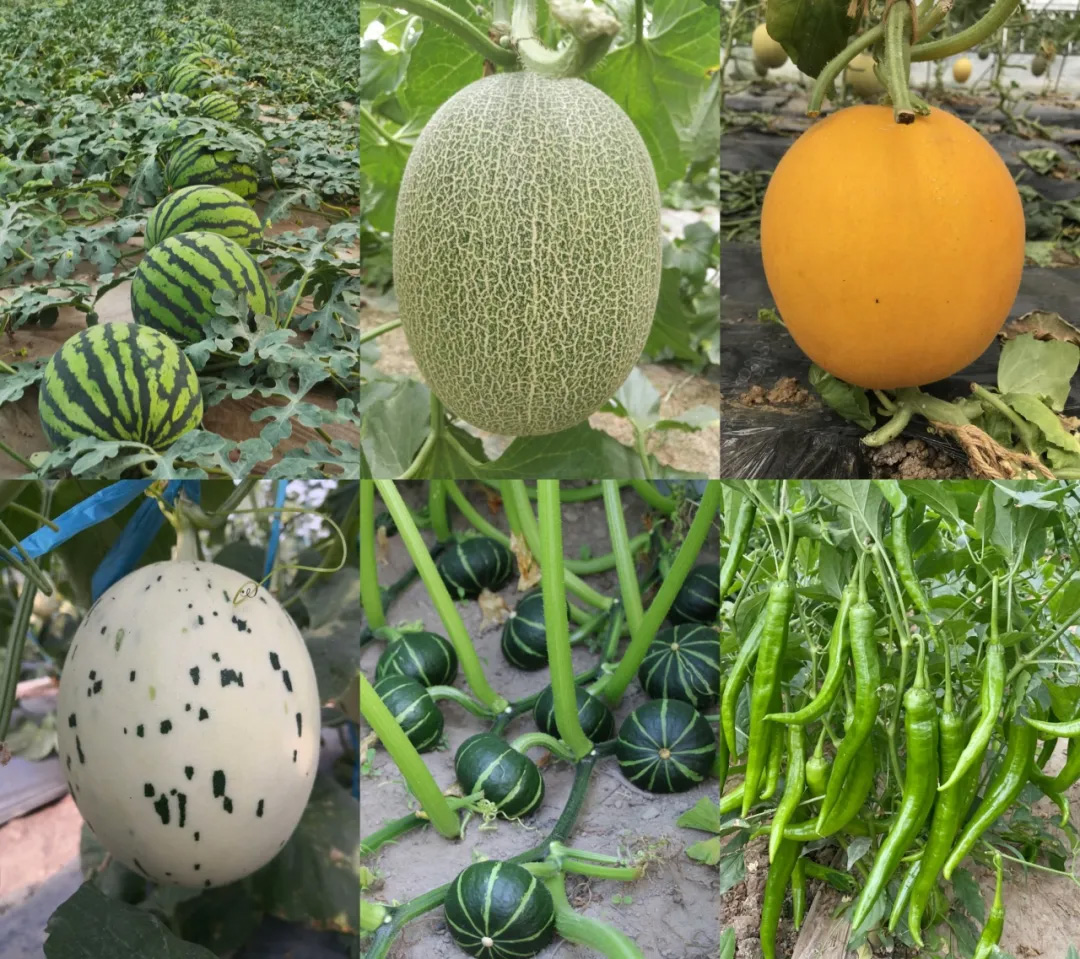 OEŷ��|�ٷ���վ