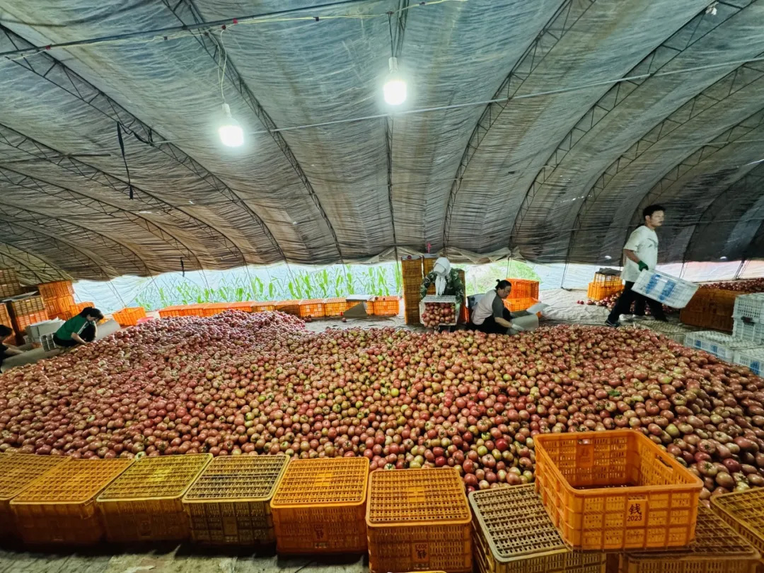 OEŷ��|�ٷ���վ