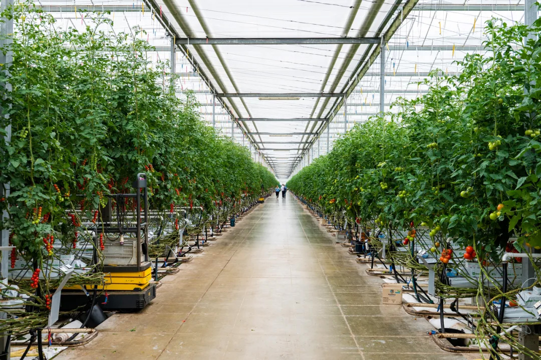 OEŷ��|�ٷ���վ