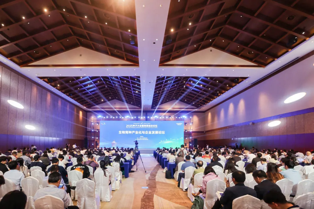 OEŷ��|�ٷ���վ