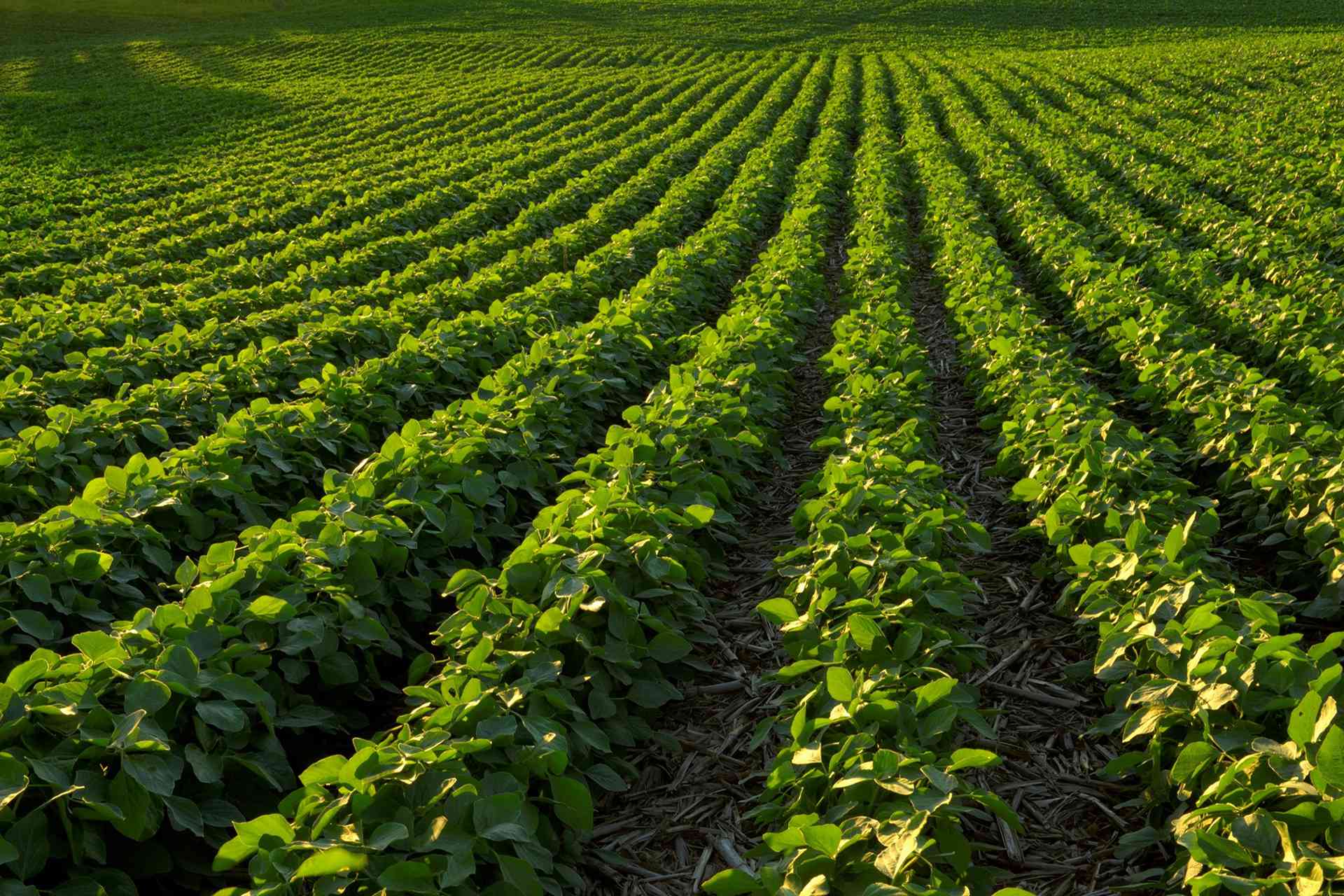 OEŷ��|�ٷ���վ